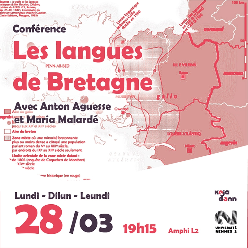 Création de visuels pour réseaux sociaux - Les langues de Bretagne - Rennes